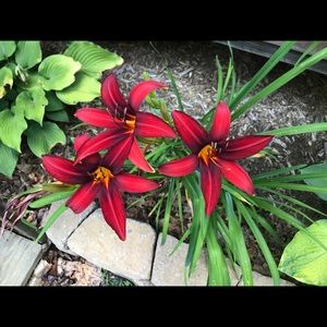 Meet your Posher, Karen